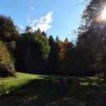 phoca_thumb_m_krteci a les 16 Fotogalerie